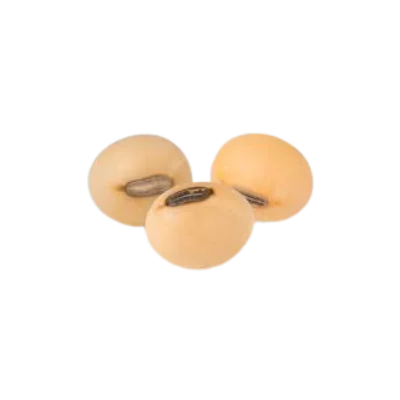 Soya